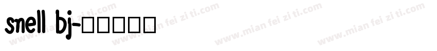 snell bj字体转换